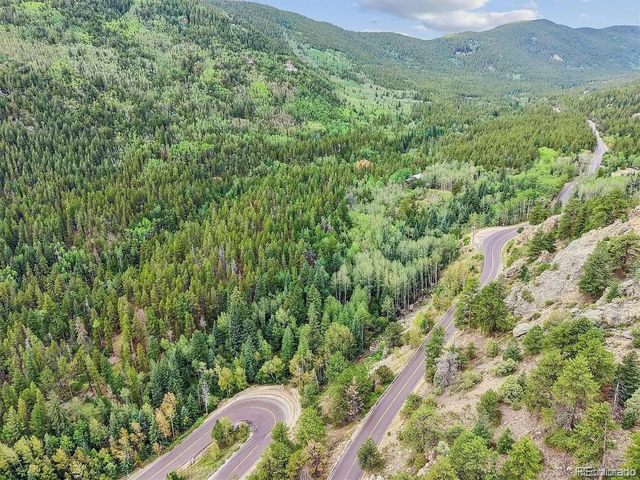 2 Fall River Rd, Idaho Springs, CO 80452