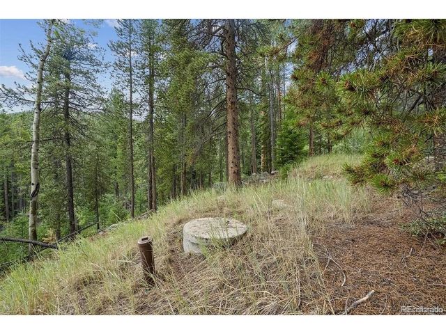 2 Fall River Rd, Idaho Springs, CO 80452