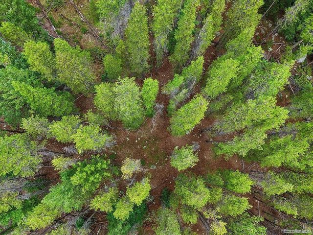 2 Fall River Rd, Idaho Springs, CO 80452