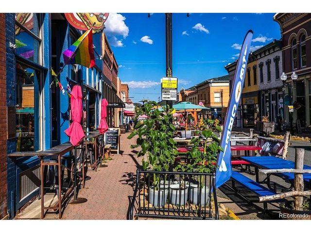 2 Fall River Rd, Idaho Springs, CO 80452