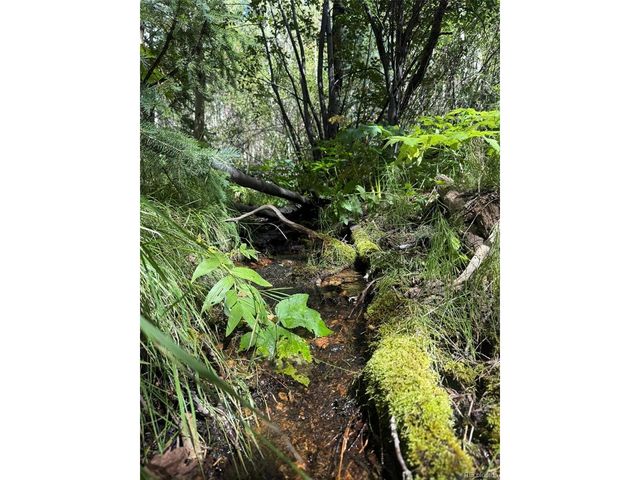 2 Fall River Rd, Idaho Springs, CO 80452