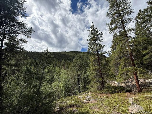 2 Fall River Rd, Idaho Springs, CO 80452