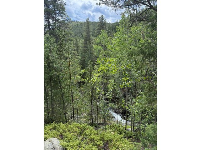 2 Fall River Rd, Idaho Springs, CO 80452