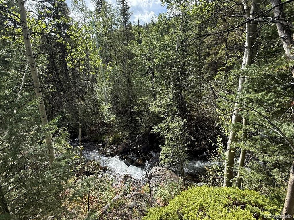 2 Fall River Rd, Idaho Springs, CO 80452