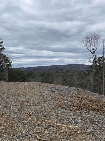 0 Canoe Way, Talking Rock, GA 30175