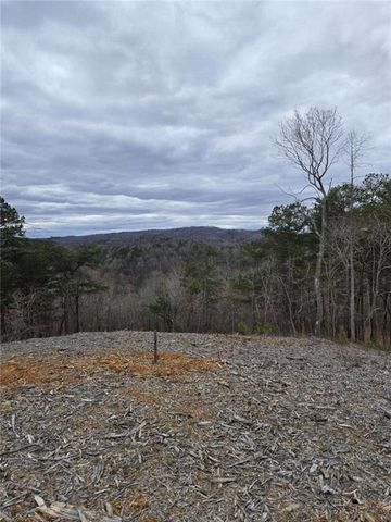 0 Canoe Way, Talking Rock, GA 30175