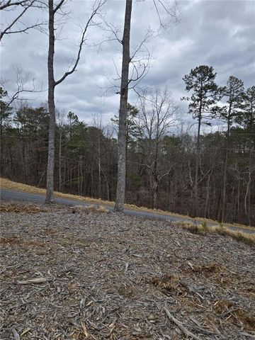 0 Canoe Way, Talking Rock, GA 30175