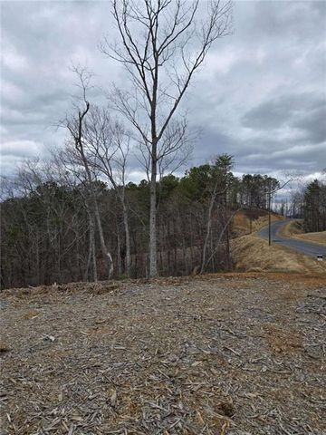 0 Canoe Way, Talking Rock, GA 30175