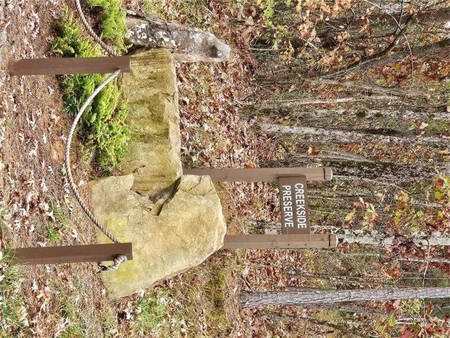 0 Canoe Way, Talking Rock, GA 30175