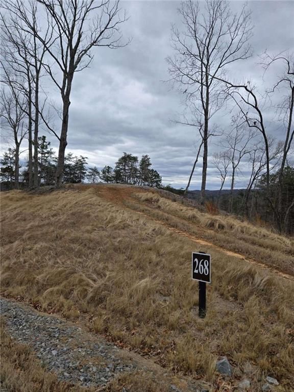 0 Canoe Way, Talking Rock, GA 30175