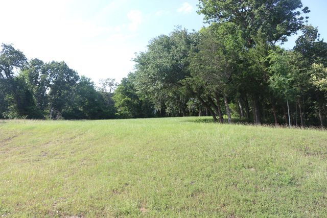 TBD Heritage Drive, Point Blank, TX 77364