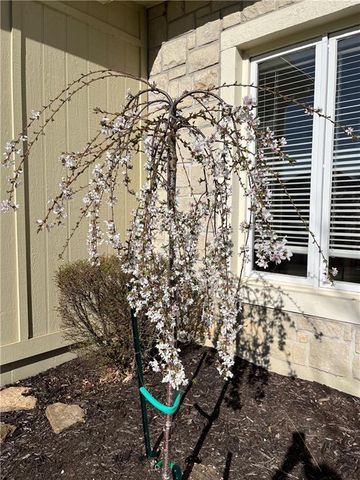 12412 Beverly Street, Overland Park, KS 66209