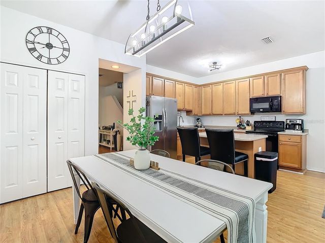 17523 STINCHAR DRIVE 17523, Land O Lakes, FL 34638