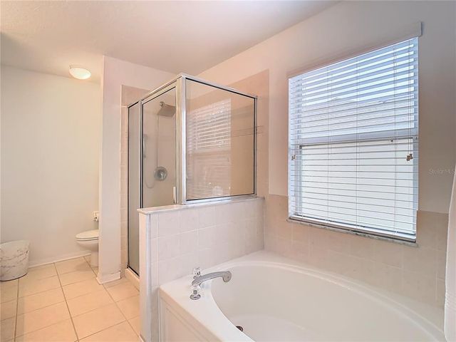 17523 STINCHAR DRIVE 17523, Land O Lakes, FL 34638