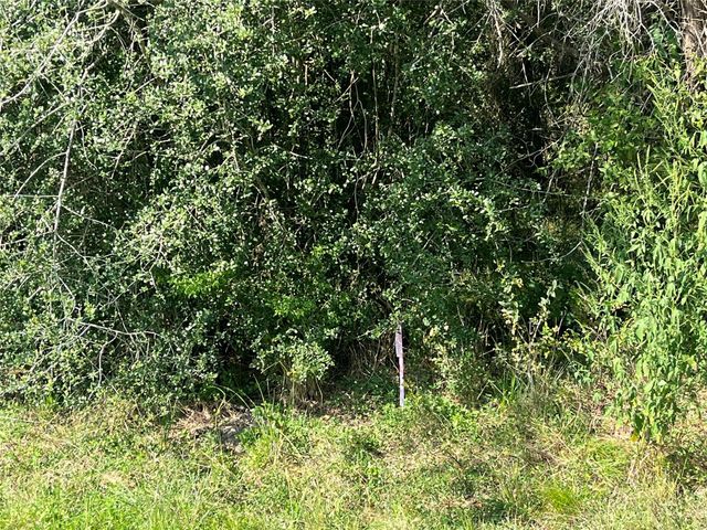 000 Campo Santo Street, San Felipe, TX 77474