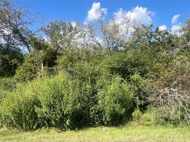 000 Campo Santo Street, San Felipe, TX 77474