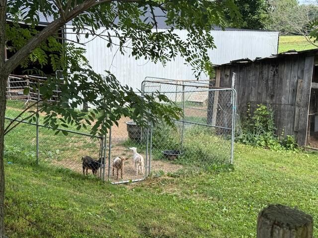 1434 Hwy 167 SE Highway 167 Highway, Monticello, KY 42633