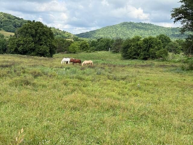 1434 Hwy 167 SE Highway 167 Highway, Monticello, KY 42633