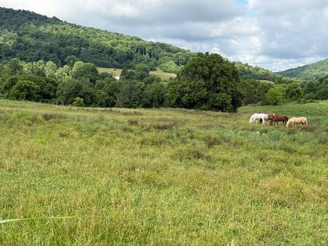 1434 Hwy 167 SE Highway 167 Highway, Monticello, KY 42633