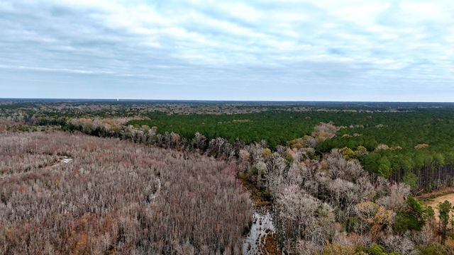 1215 Sandy Run Circle, Summerville, SC 29486