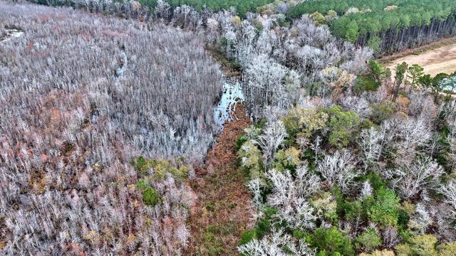 1215 Sandy Run Circle, Summerville, SC 29486