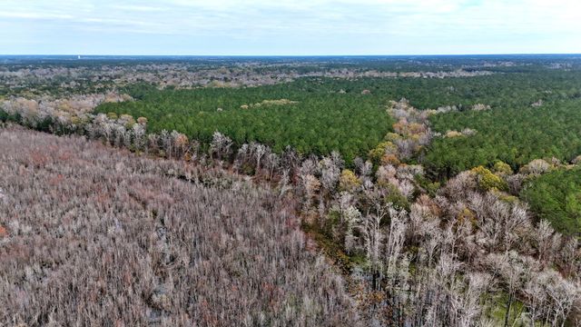 1215 Sandy Run Circle, Summerville, SC 29486