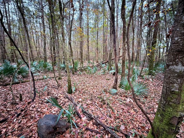 1215 Sandy Run Circle, Summerville, SC 29486