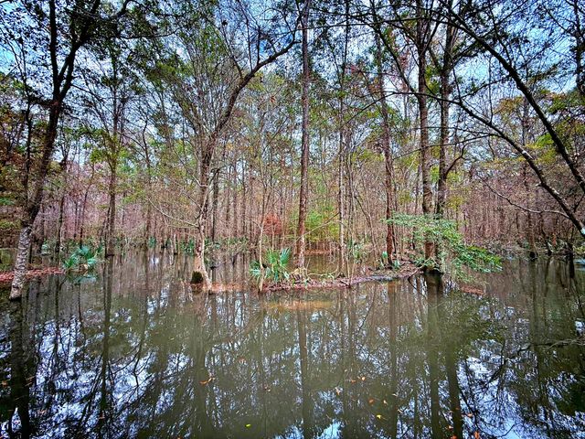 1215 Sandy Run Circle, Summerville, SC 29486
