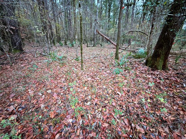 1215 Sandy Run Circle, Summerville, SC 29486