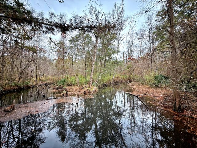 1215 Sandy Run Circle, Summerville, SC 29486