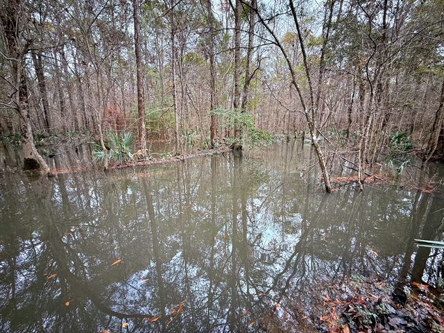 1215 Sandy Run Circle, Summerville, SC 29486