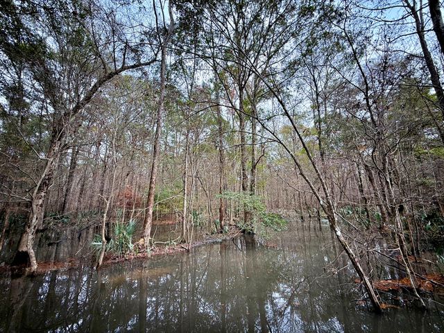 1215 Sandy Run Circle, Summerville, SC 29486