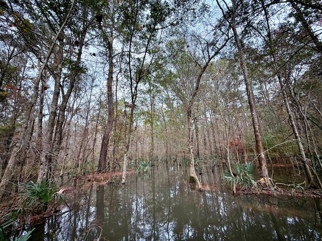 1215 Sandy Run Circle, Summerville, SC 29486