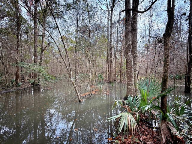 1215 Sandy Run Circle, Summerville, SC 29486
