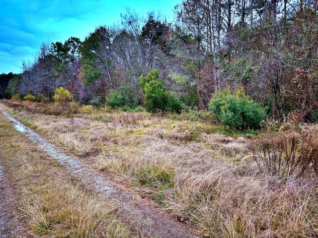 1215 Sandy Run Circle, Summerville, SC 29486