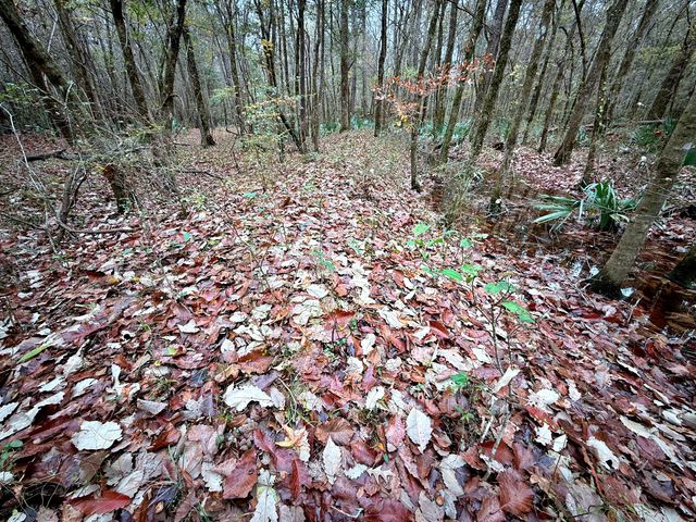 1215 Sandy Run Circle, Summerville, SC 29486