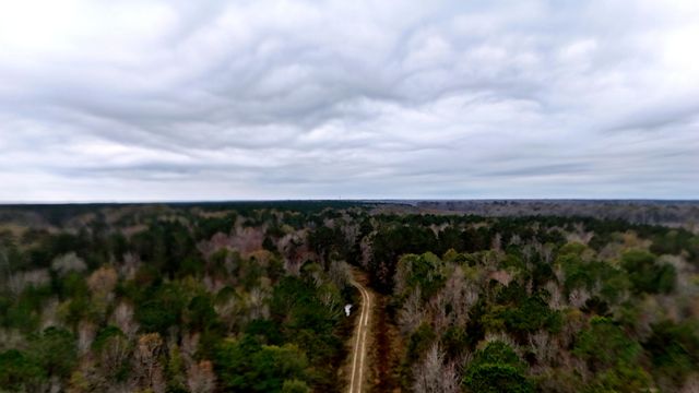1215 Sandy Run Circle, Summerville, SC 29486
