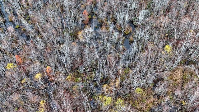 1215 Sandy Run Circle, Summerville, SC 29486