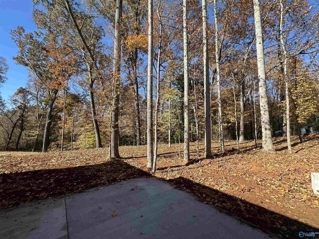 128 Mill Springs Lane, Huntsville, AL 35811