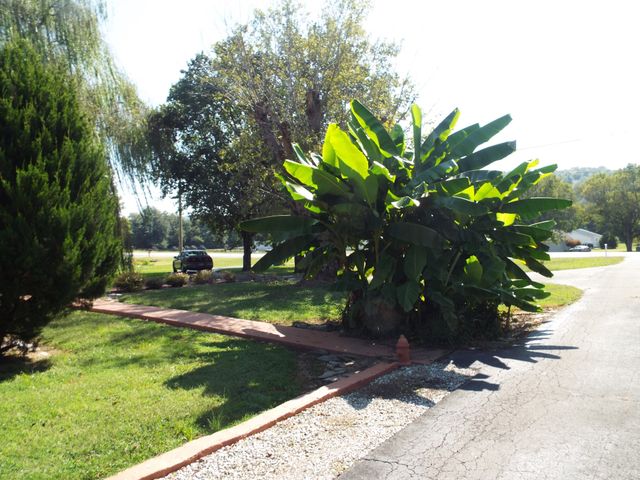 715 Poplar Bluff Rd E, Auburntown, TN 37016