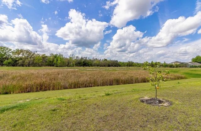 1136 PAPAYA CIRCLE, Davenport, FL 33897