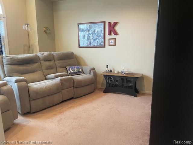 13096 Village Court, Clio, MI 48420