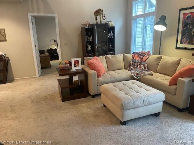 13096 Village Court, Clio, MI 48420