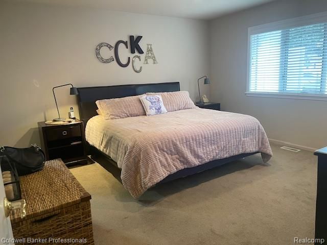 13096 Village Court, Clio, MI 48420