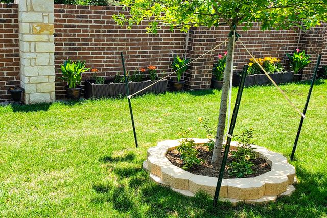 510 Ellis Place Drive, Greenville, TX 75402