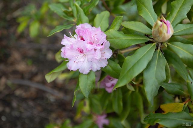 172 S Temelec Cir, Sonoma, CA 95476