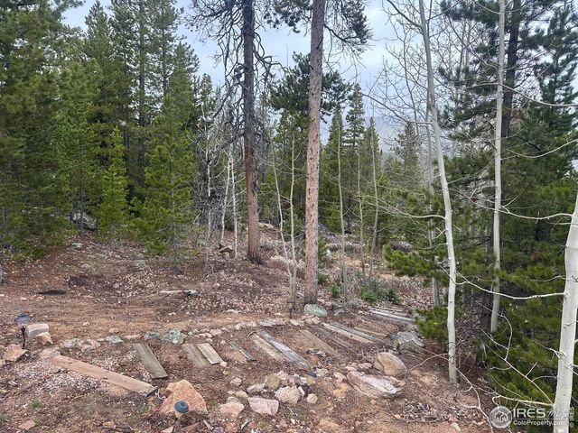 44 Natchez Cir, Red Feather Lakes, CO 80545