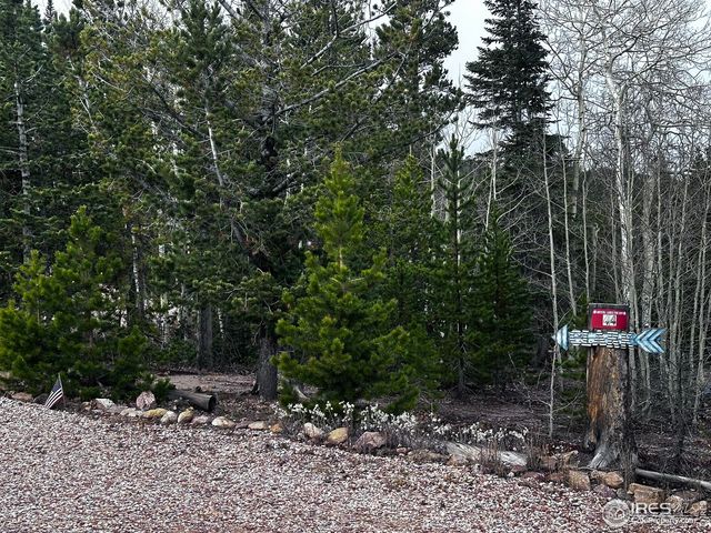 44 Natchez Cir, Red Feather Lakes, CO 80545