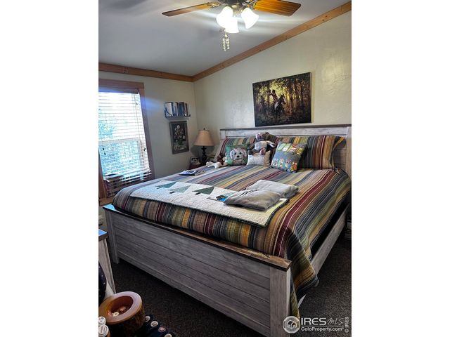 44 Natchez Cir, Red Feather Lakes, CO 80545