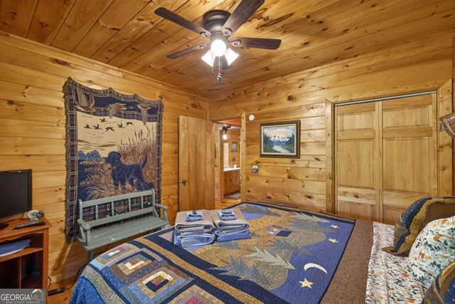 203 Mountain View Drive, Cherry Log, GA 30522